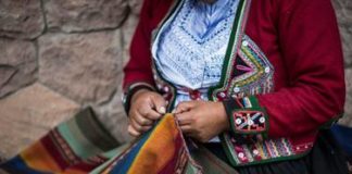 Il vello di vicuña: il tessuto più raro e pregiato al mondo